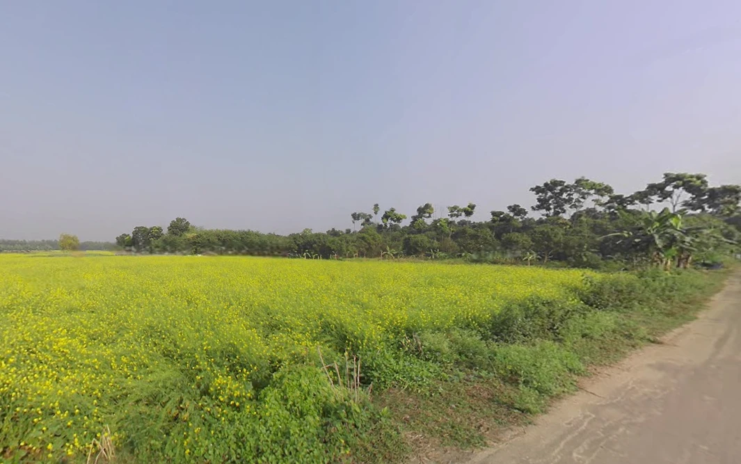 Krishnanagar, West Bengal, India