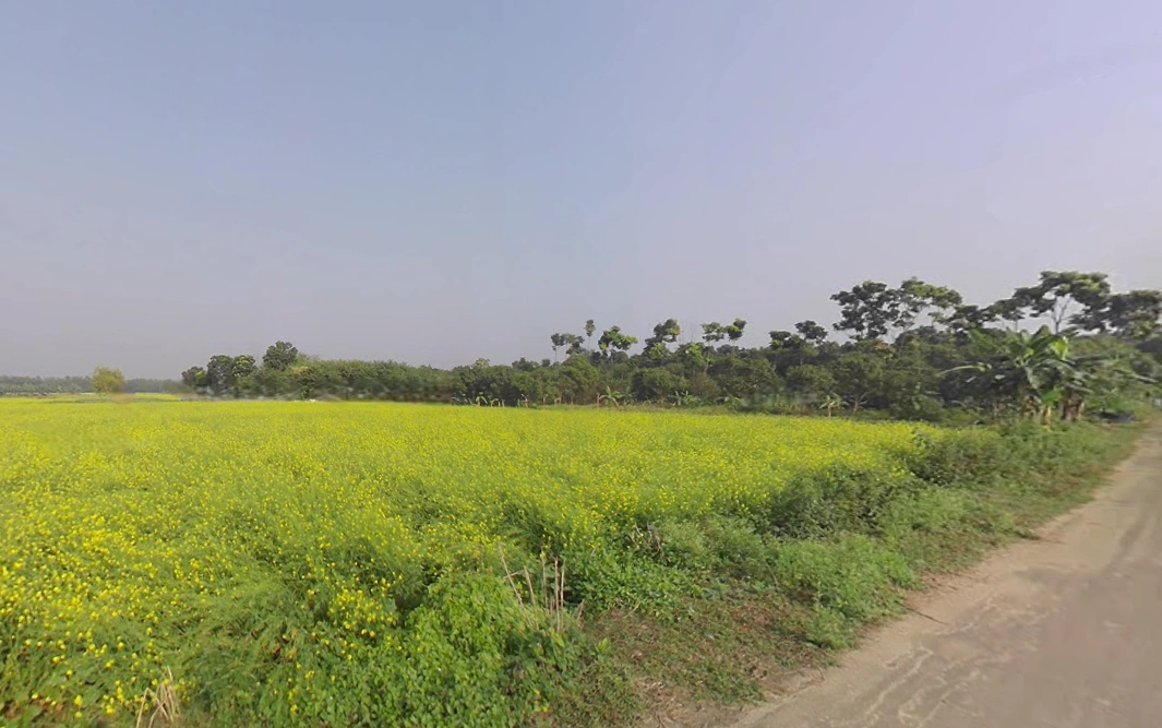 Krishnanagar, West Bengal, India