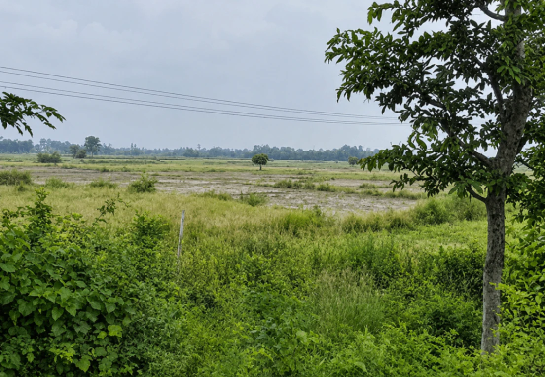 Kasturba Gram, Indore, Madhya Pradesh 452020, India