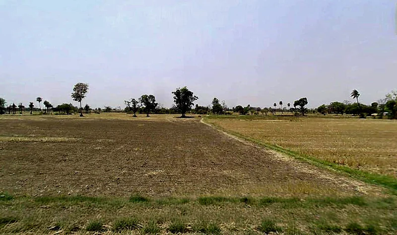 Noni Khedi Koji, Madhya Pradesh 466651, India preview 3