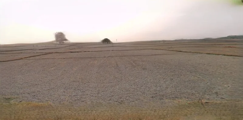 Jaisalmer, Rajasthan 345001, India preview 2