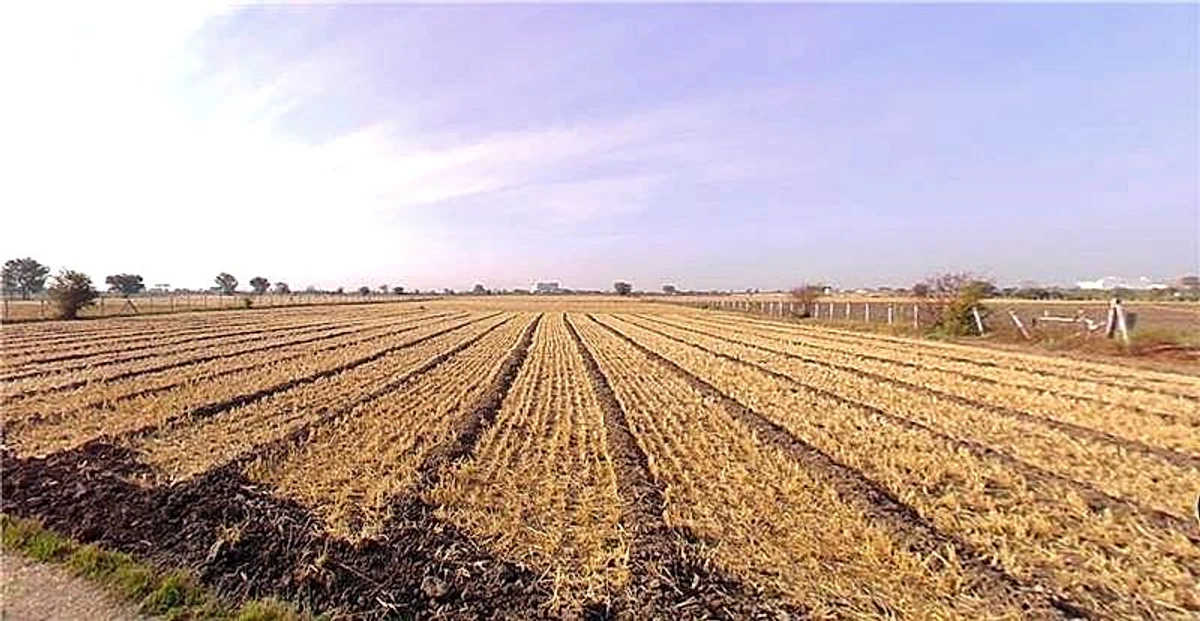 Radhanpur, Gujarat 385340, India