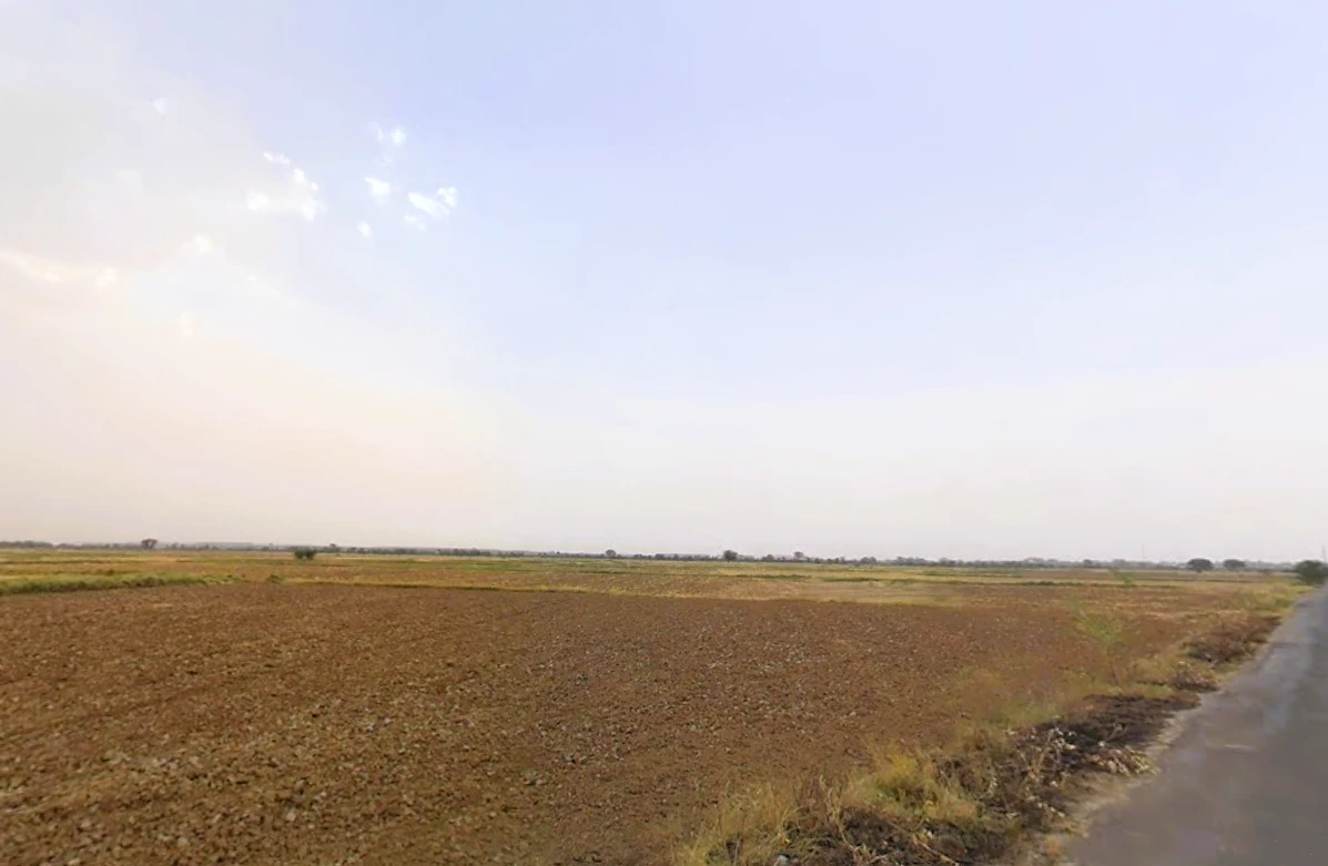 Luhari, Haryana 124108, India