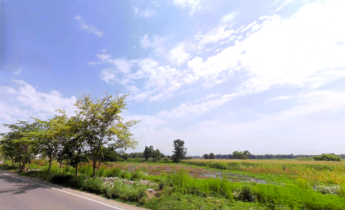 Naraingarh, Haryana 134203, India