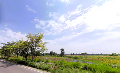 Naraingarh, Haryana 134203, India preview 3