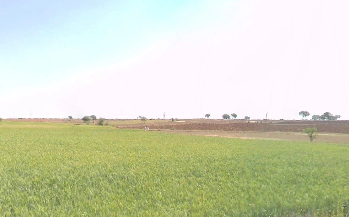 Balampur, Madhya Pradesh 462010, India