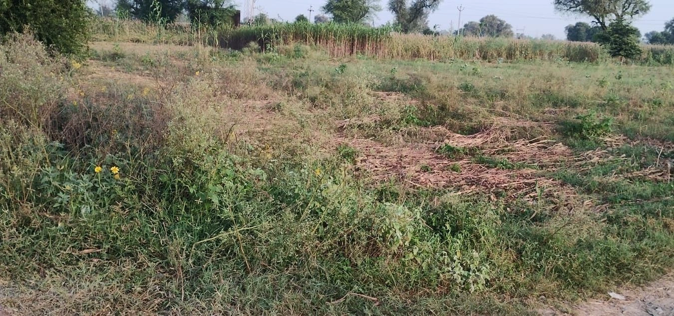 Ahmadpur, Rajasthan 301001, India