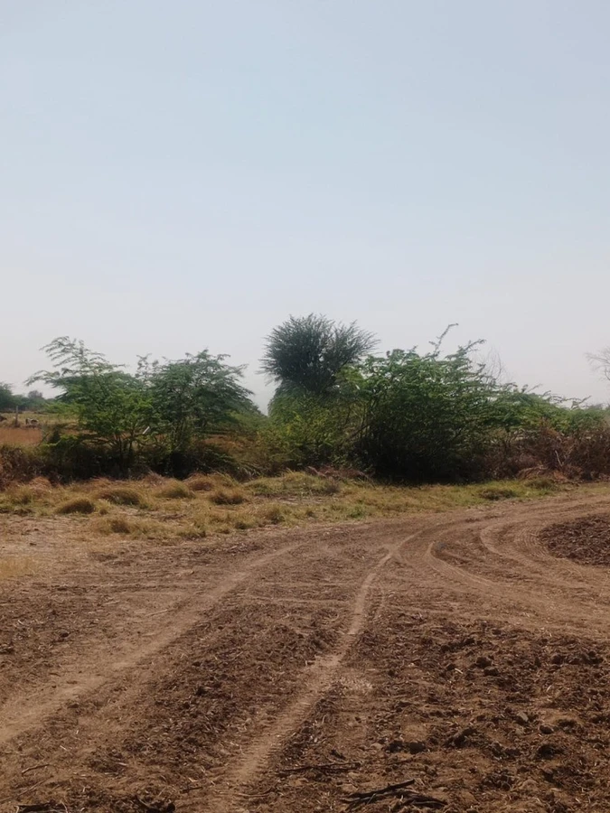 GGGQ+QQ Shri Ramganj, Rajasthan, India