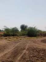 GGGQ+QQ Shri Ramganj, Rajasthan, India preview 2