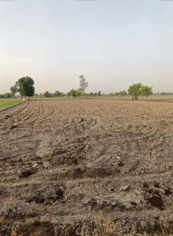 Beas, Punjab 143201, India
