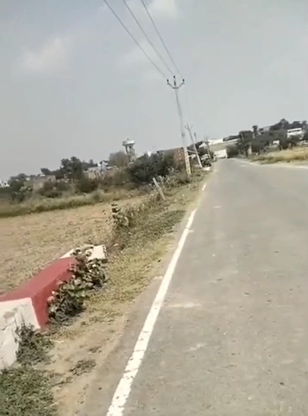 Tappal, Aligarh, Uttar Pradesh 202165, India