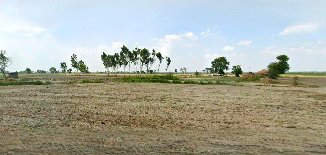 Barnagar, Madhya Pradesh 456771, India