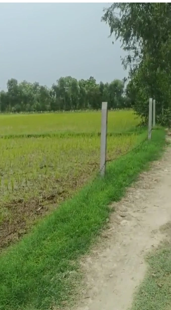 Dhikoli, Baghpat, Baghpat, Uttar Pradesh, India