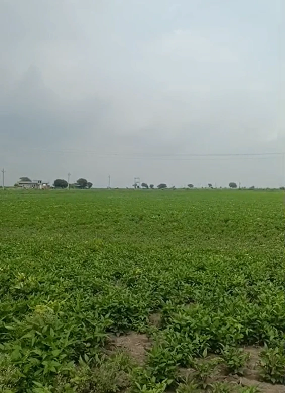 P2C8+HP Khajoori, Bundi, Rajasthan, India