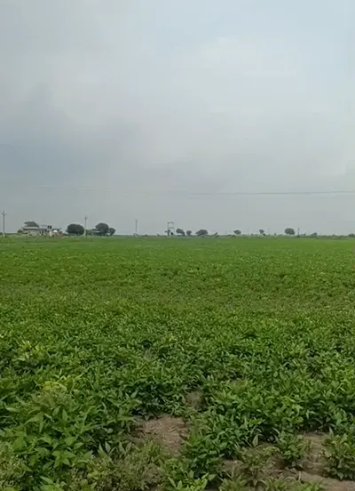 P2C8+HP Khajoori, Bundi, Rajasthan, India preview 3