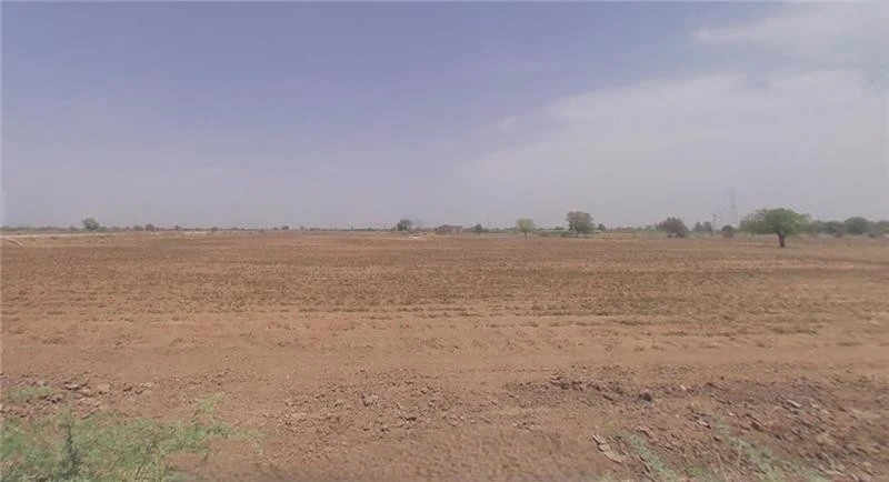 J8JC+57 Khakhrala, Gujarat, India