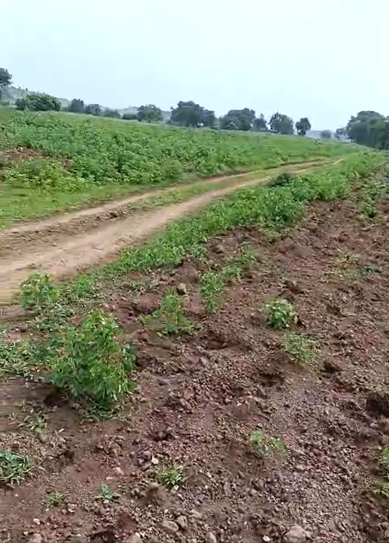 Suthaliya, Rajgarh, Madhya Pradesh 465677, India
