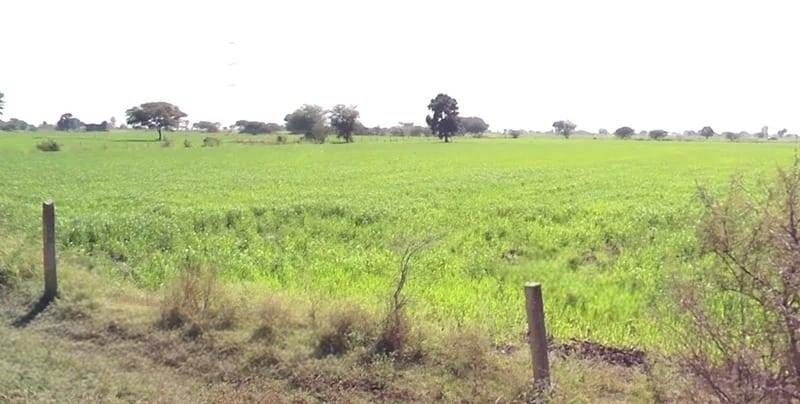 Bodwada Buzurg, Madhya Pradesh 454001, India preview 3