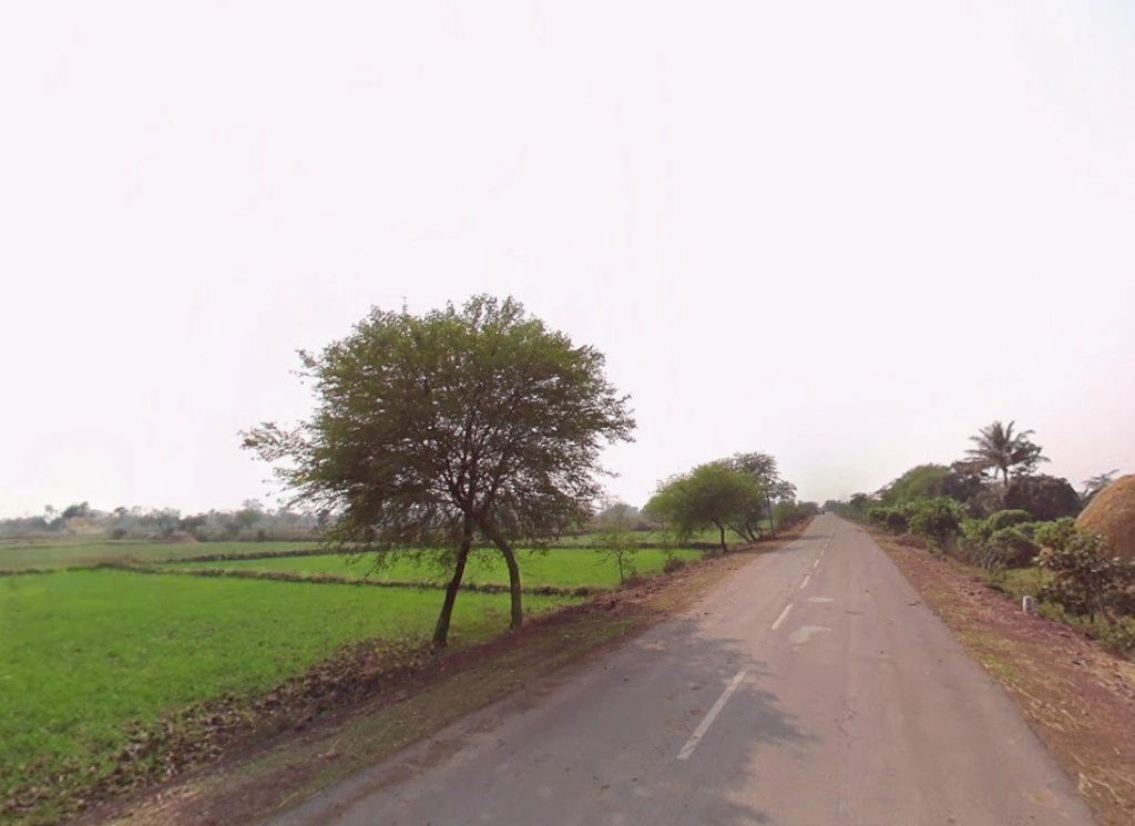Gadamore, Chhattisgarh 491337, India