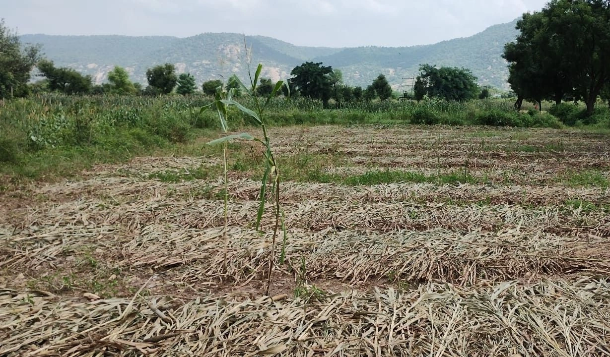 Untwal, Rajasthan 301028, India
