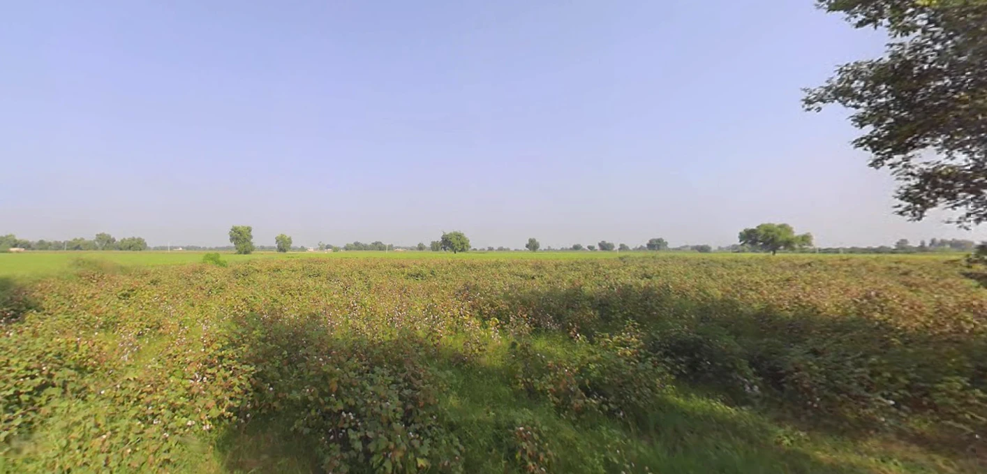 Pinjore, Haryana 134102, India