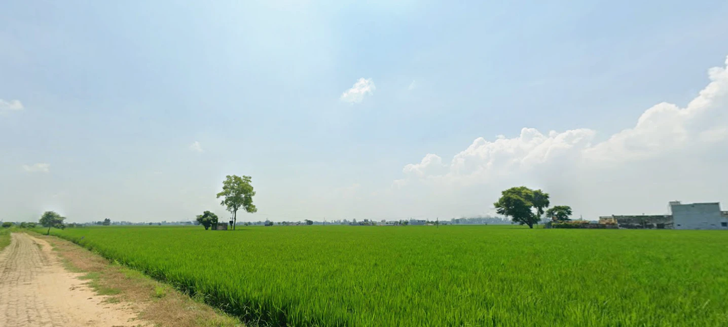 New Chandigarh, Punjab 140901, India