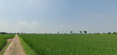 Zirakpur, Punjab, India preview 3