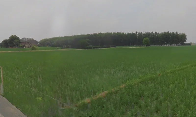 Kosa, Chhattisgarh, India preview 3