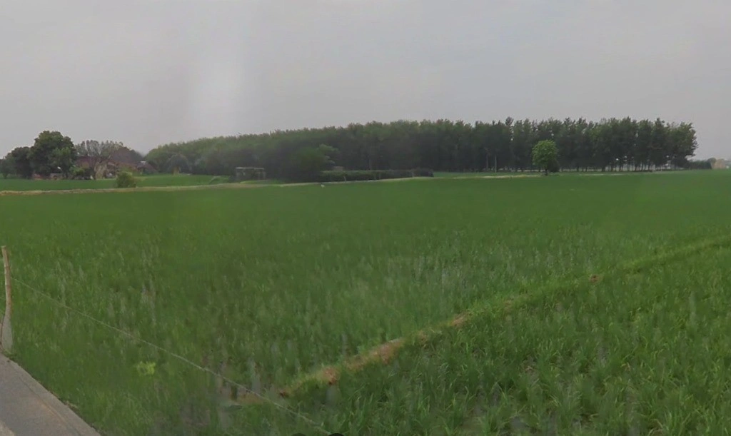 Kosa, Chhattisgarh, India