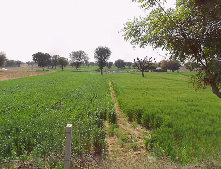 Jaipur Rural, Rajasthan