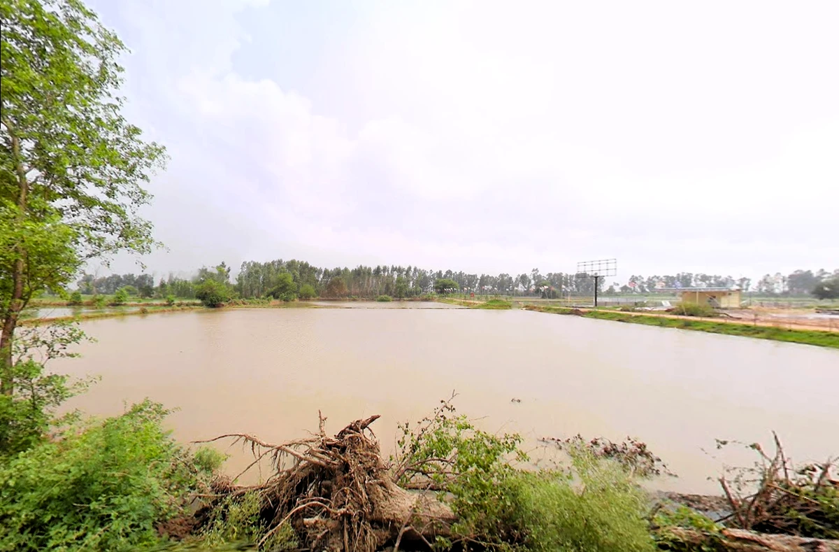 Pahrawar, Haryana 124021, India