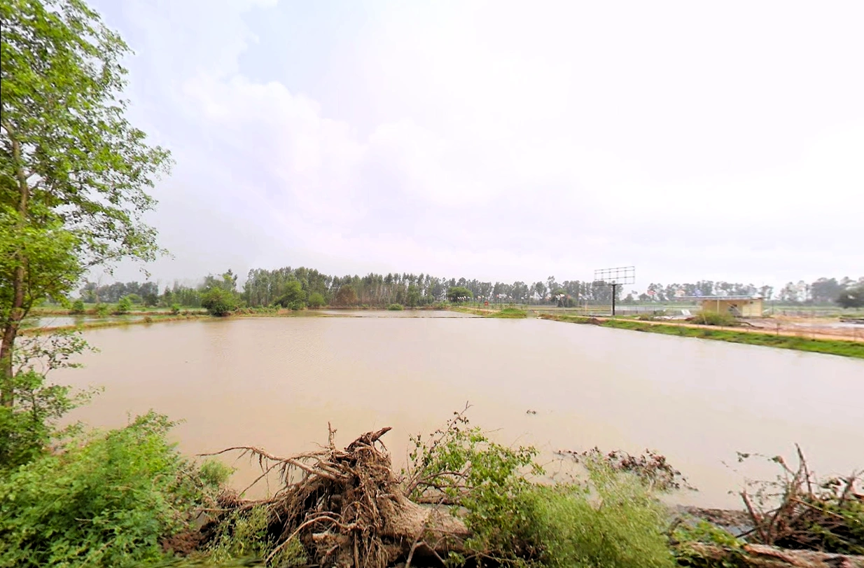 Pahrawar, Haryana 124021, India