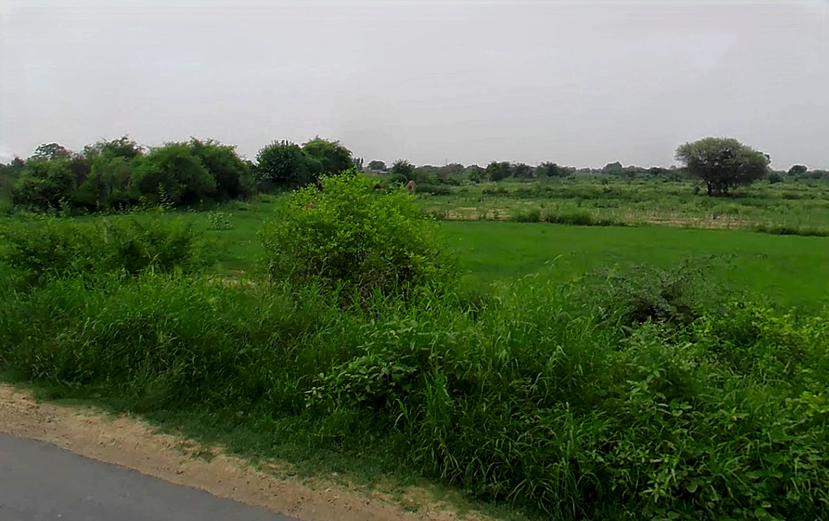 Bagla Rd, Hisar, Haryana, India