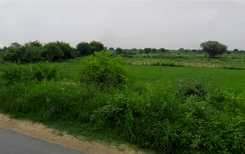 Bagla Rd, Hisar, Haryana, India preview 2