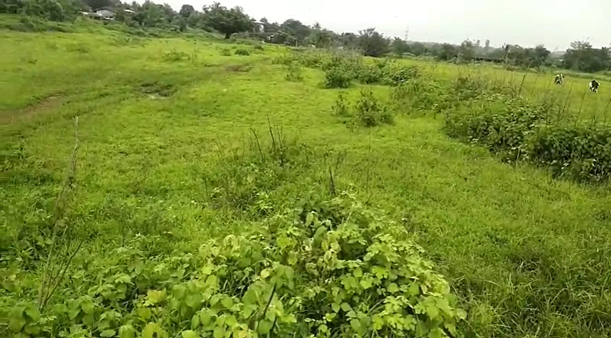 J43H+78G, Palghar, Chikhale, Maharashtra 421312, India - Photo 2
