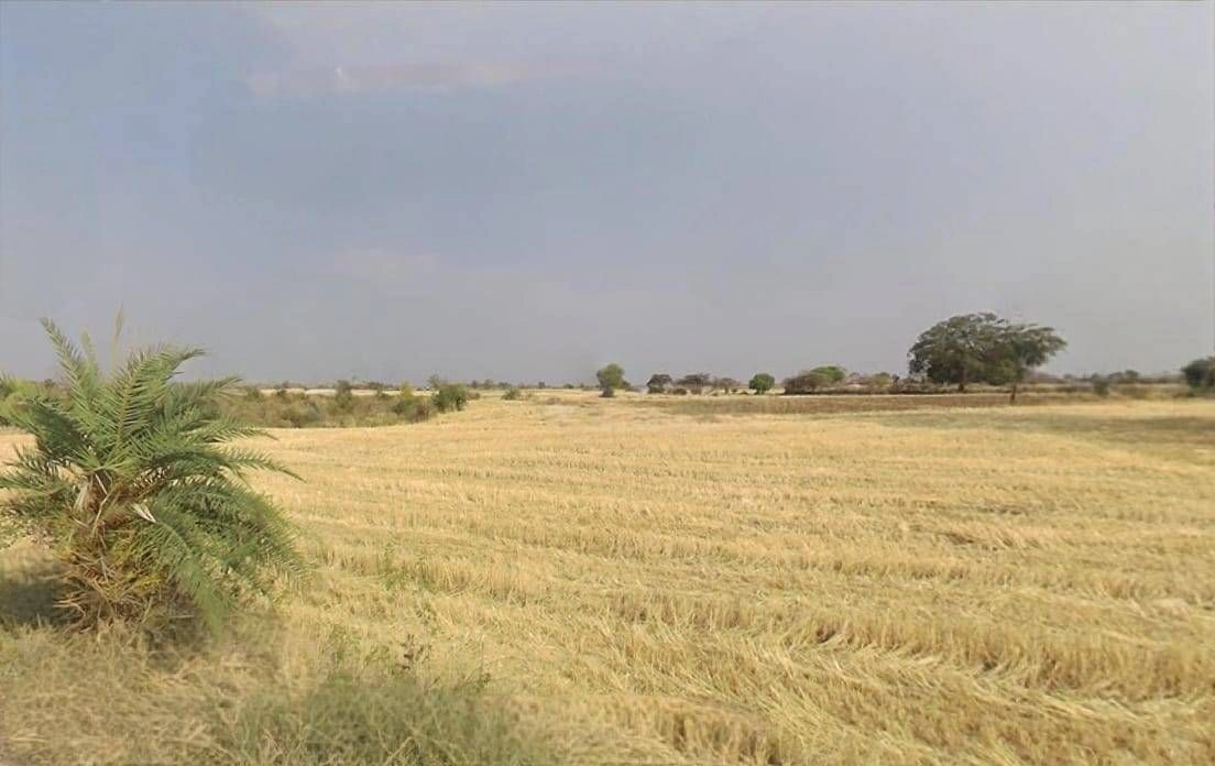 Rangwasa, Indore, Madhya Pradesh 453331, India preview 3