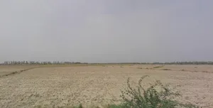 Atta, Haryana 132122, India preview 3