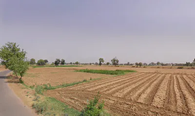 Tijara, Rajasthan 301411, India preview 2