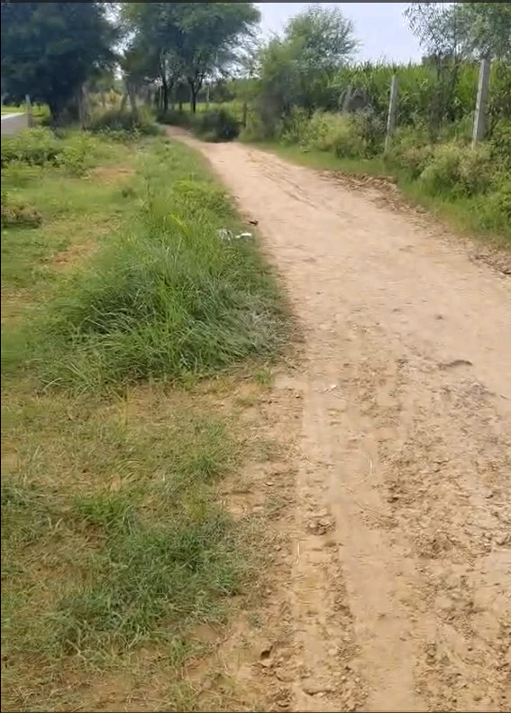 4FJG+9X Parli, Sawai Madhopur, Rajasthan, India