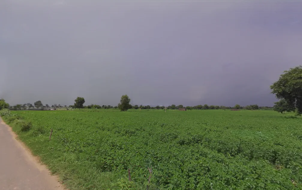 Chaudhariwas, Haryana 125007, India preview 2