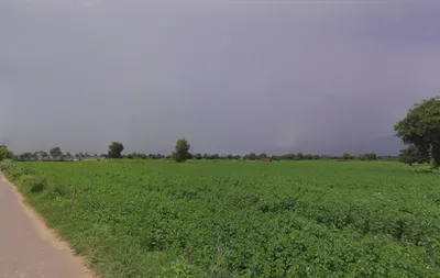 Chaudhariwas, Haryana 125007, India preview 2