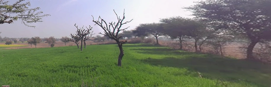 Khachariawas, Rajasthan 332710, India