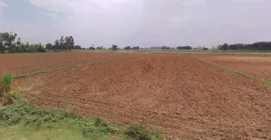 Dehradun, Uttarakhand, India preview 2