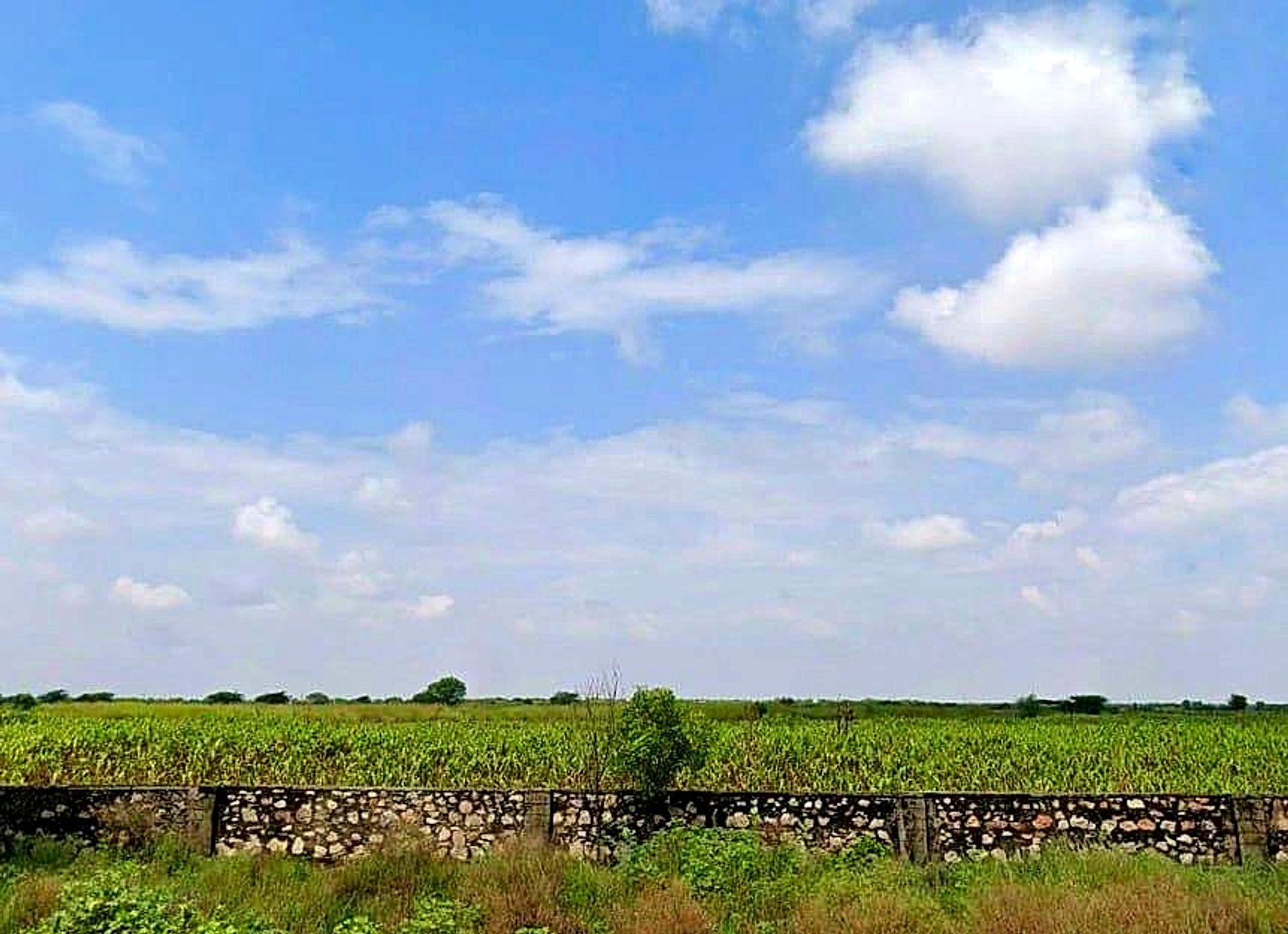 Shahpura, Rajasthan 303103, India