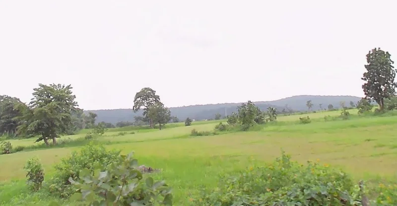 Bhainsa, Madhya Pradesh 470775, India preview 2