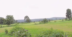 Bhainsa, Madhya Pradesh 470775, India preview 2