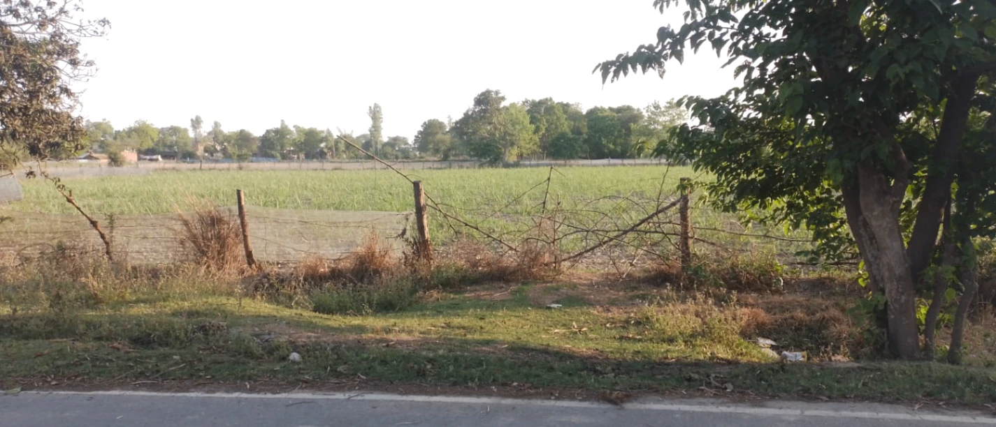 Ludhiana, Punjab, India