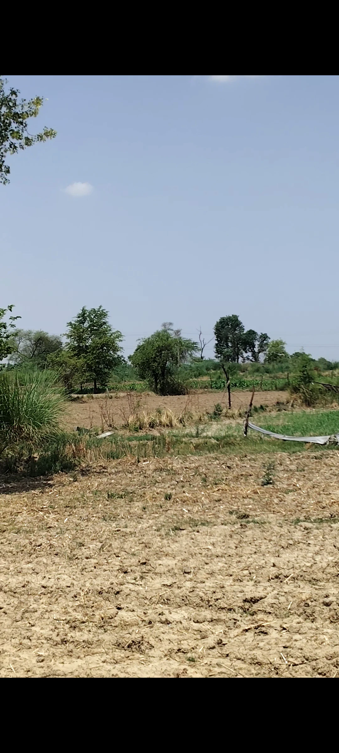 Bhagosa, Govardhan, Mathura, Uttar Pradesh, India