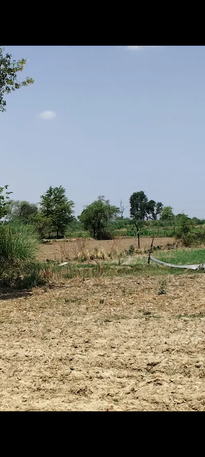Bhagosa, Govardhan, Mathura, Uttar Pradesh, India preview 4