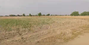 Ujjain, Madhya Pradesh, India preview 2